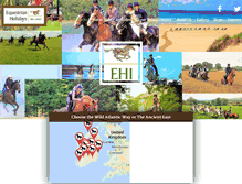 Tablet Screenshot of ehi.ie